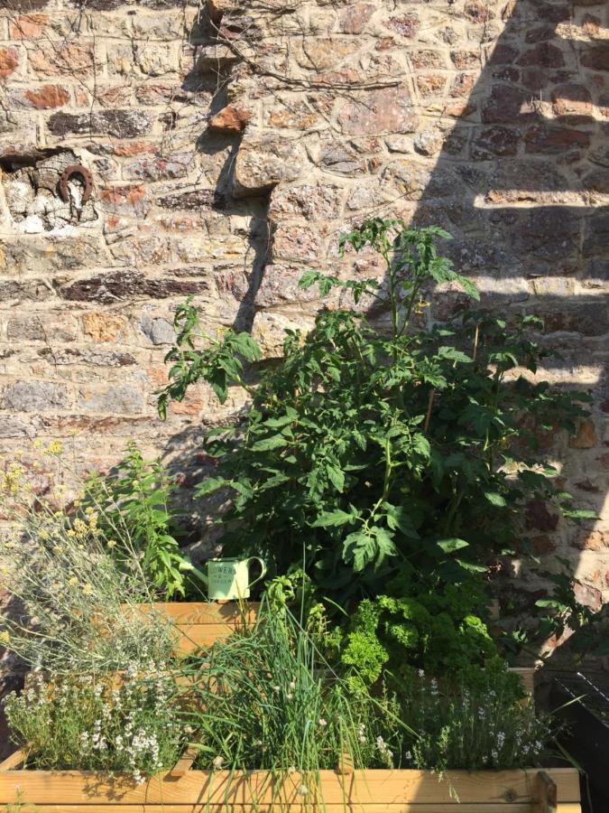 L'Hôtié de Brocéliande Paimpont Exterior foto