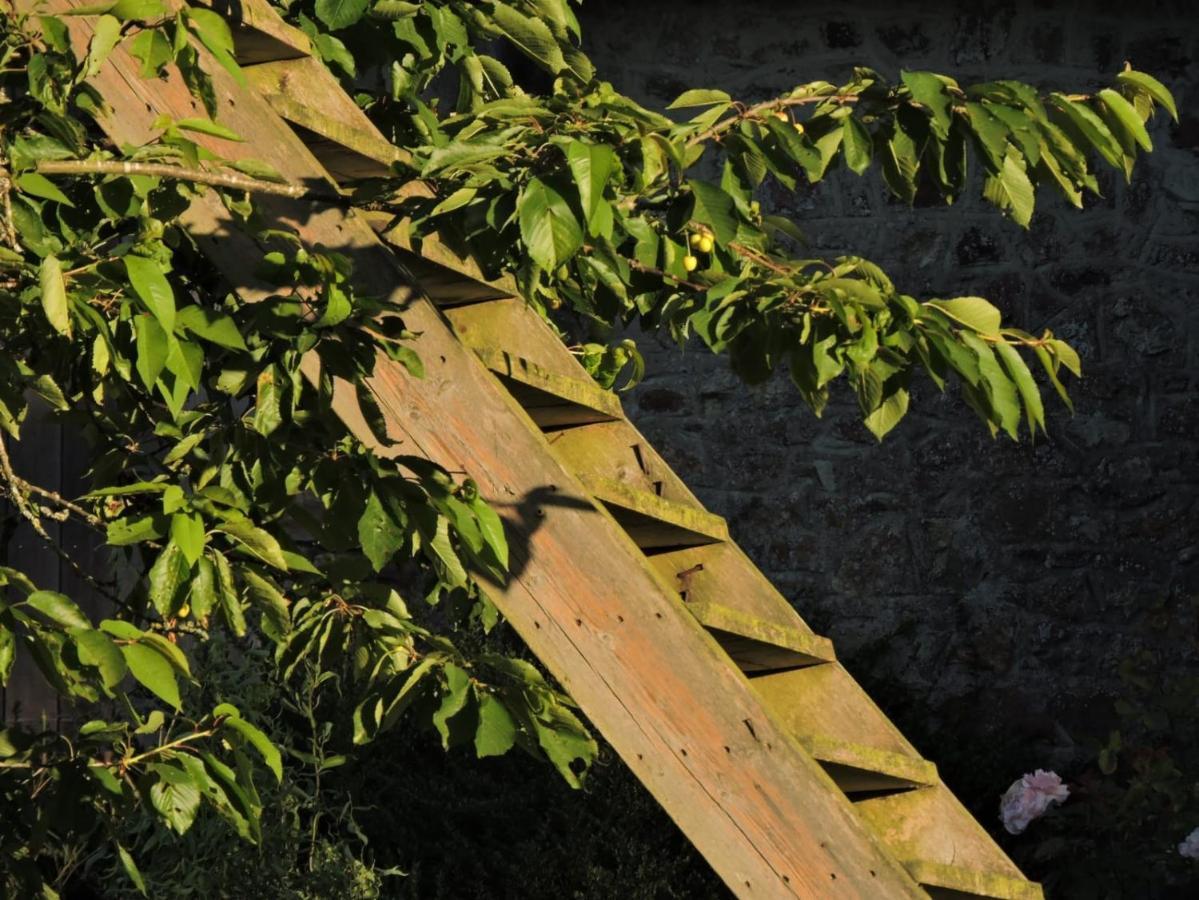 L'Hôtié de Brocéliande Paimpont Exterior foto