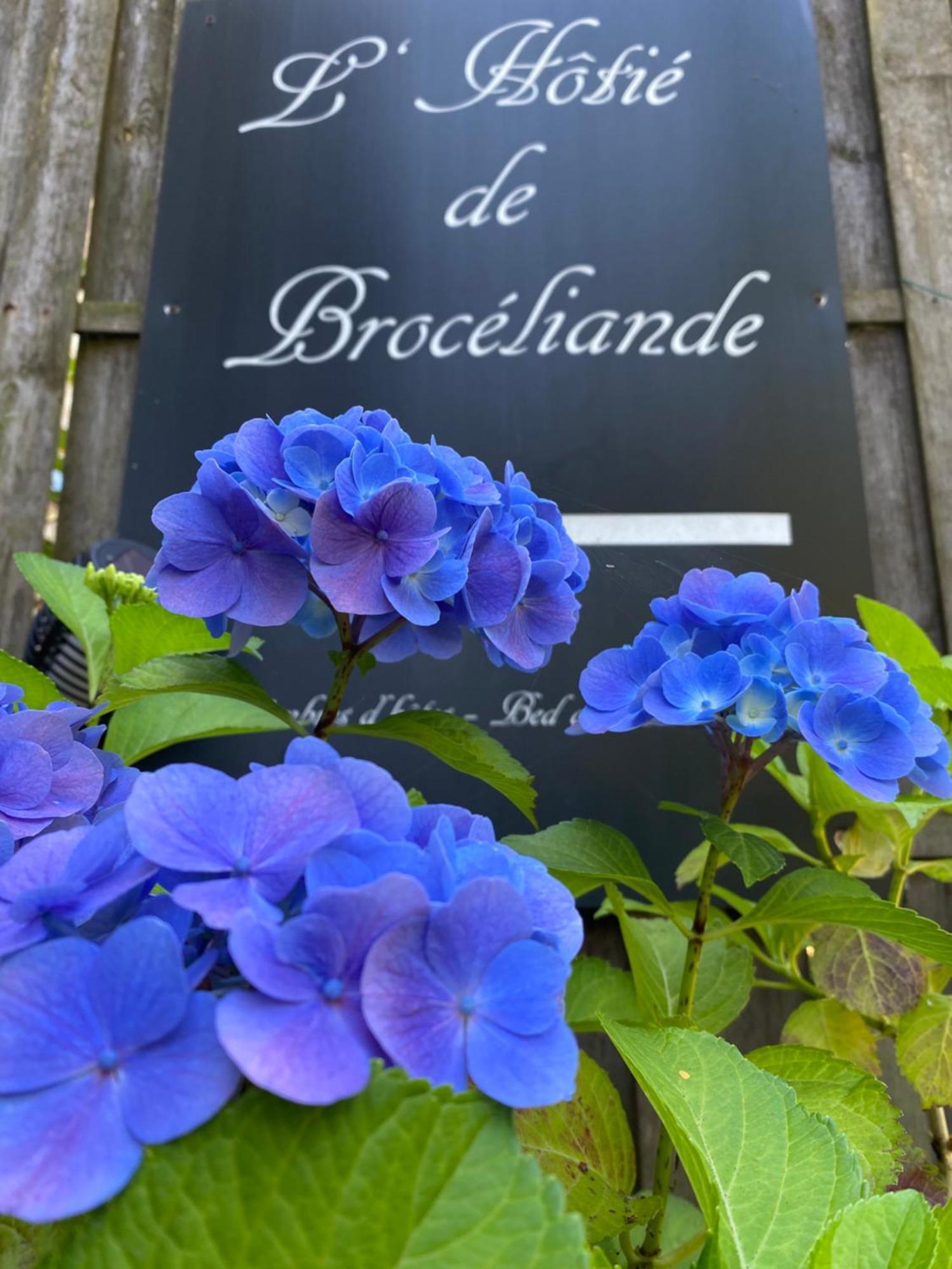 L'Hôtié de Brocéliande Paimpont Exterior foto