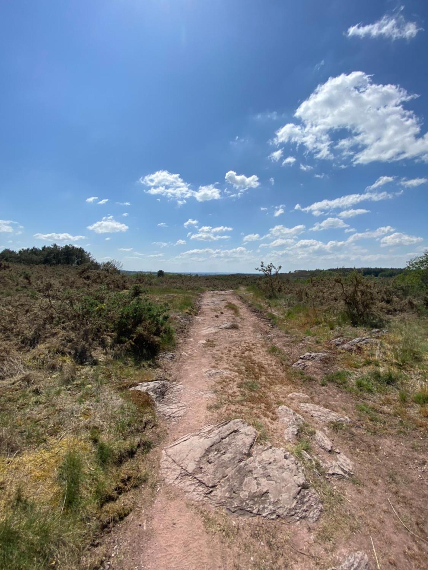 L'Hôtié de Brocéliande Paimpont Exterior foto
