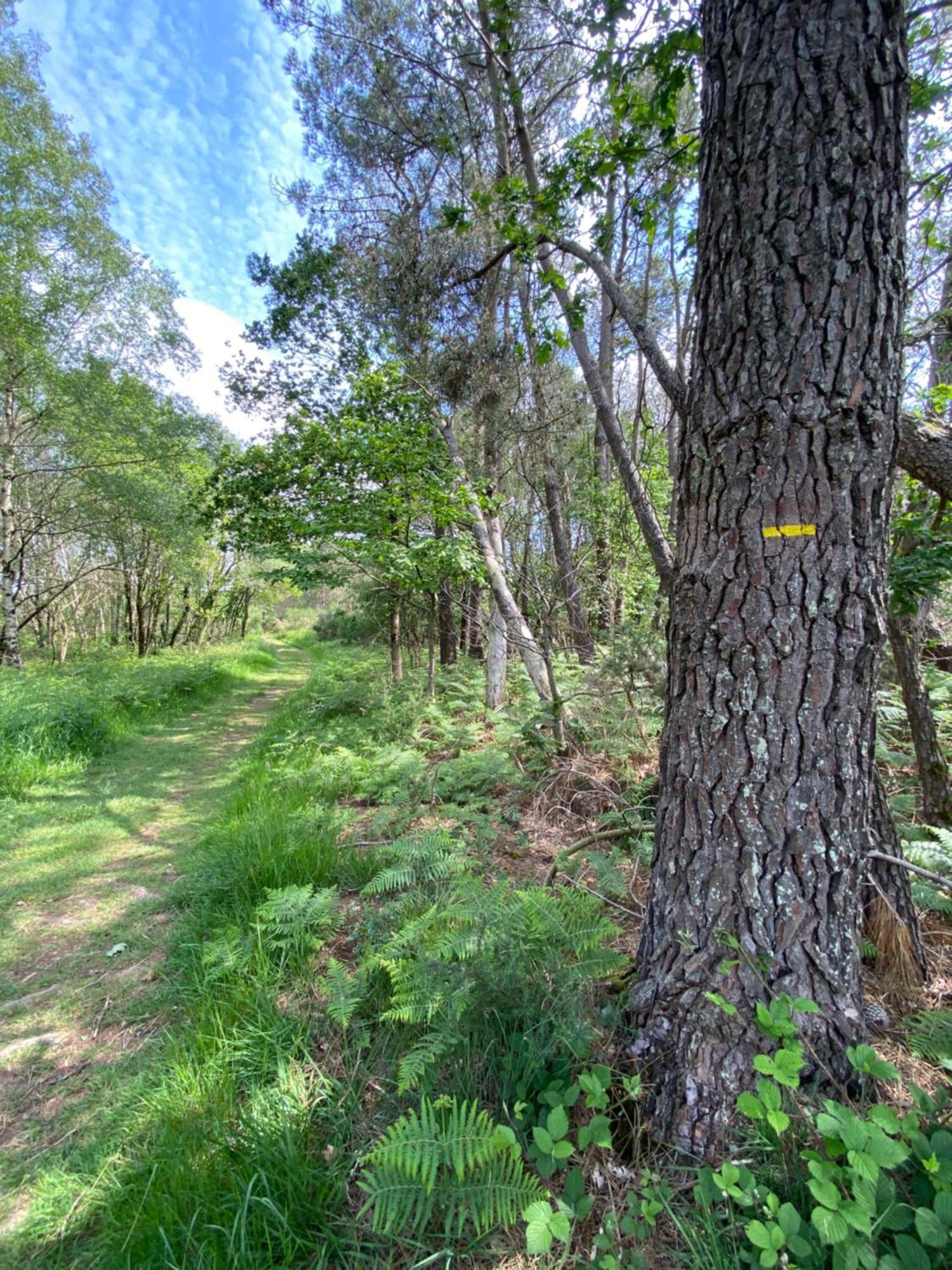 L'Hôtié de Brocéliande Paimpont Exterior foto